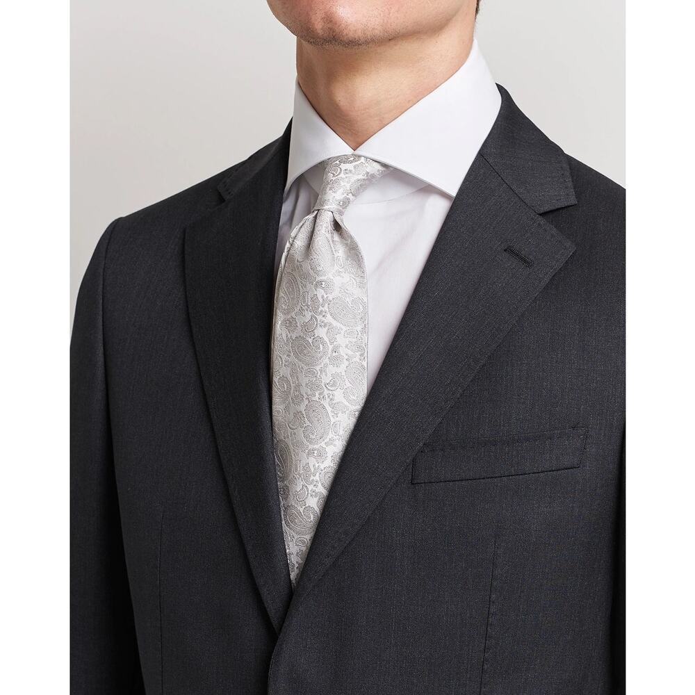 Amanda Christensen Men's‎ Silk Tonal Paisley Tie Silver Classic Elegant Designer